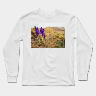 Alpine crocuses Long Sleeve T-Shirt